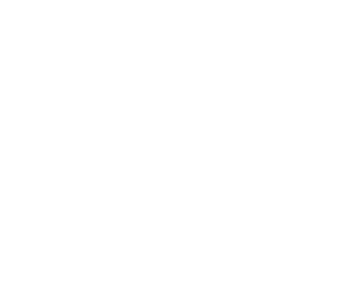 SNCC RUGS